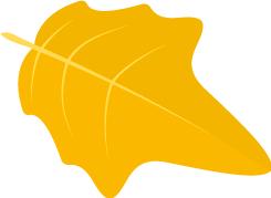 不会选化妆品不会化妆怎么办,不会选择美白产品的看过来