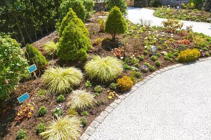 去箱根泡温泉要多少钱,箱根有专门泡温泉的地方吗