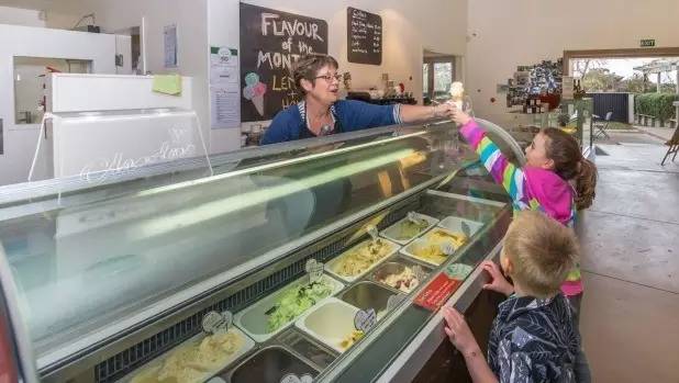 在新西兰哪些食物不用花钱,在新西兰卖冰激凌