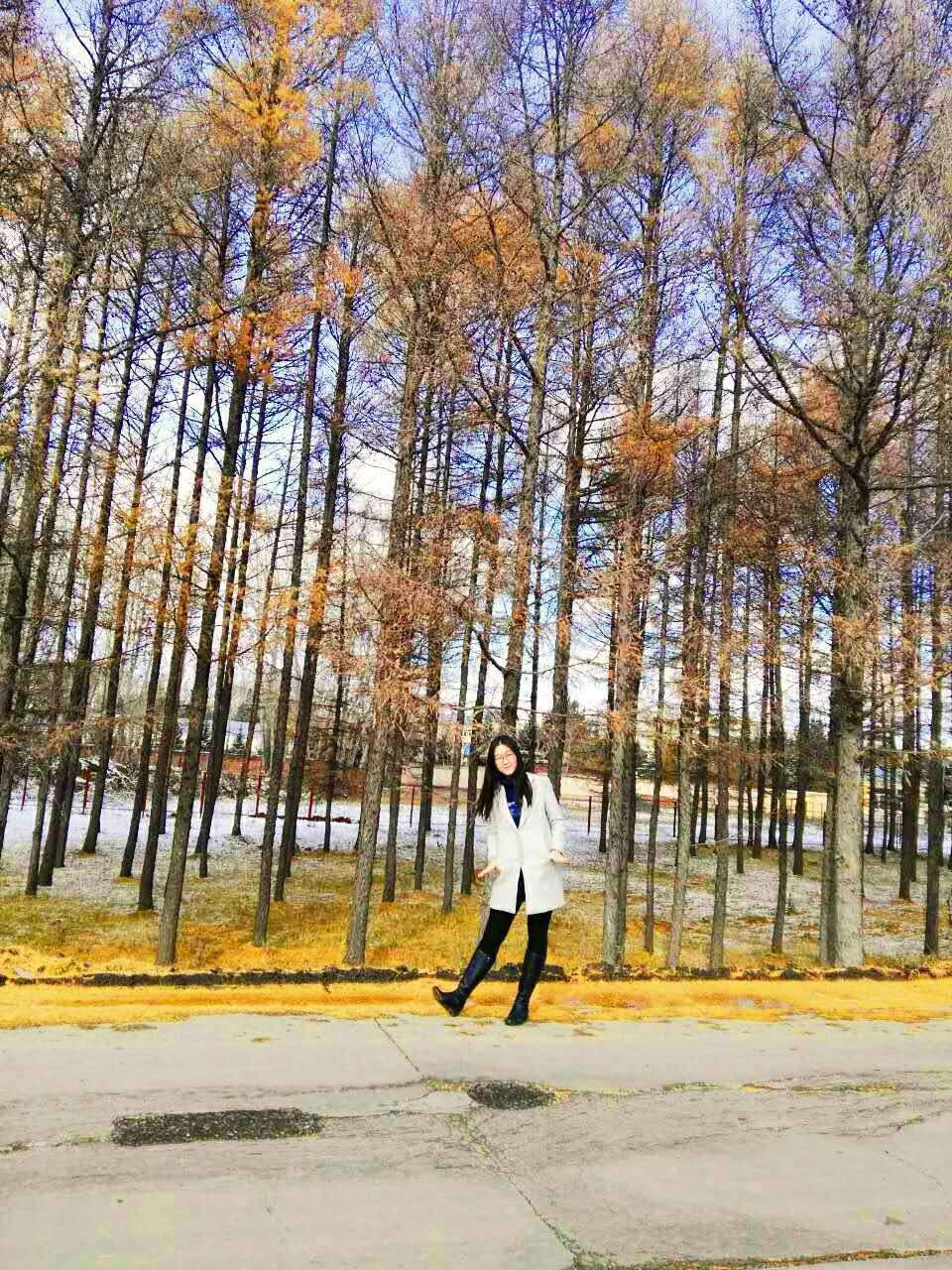 从陌生到认识到短暂相聚,从陌生到熟悉的点点滴滴