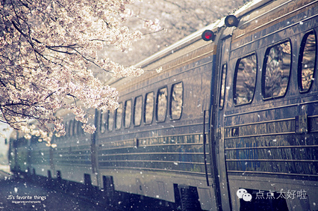 挪威的森林小说免费阅读全文,挪威的森林小说适合小孩看吗