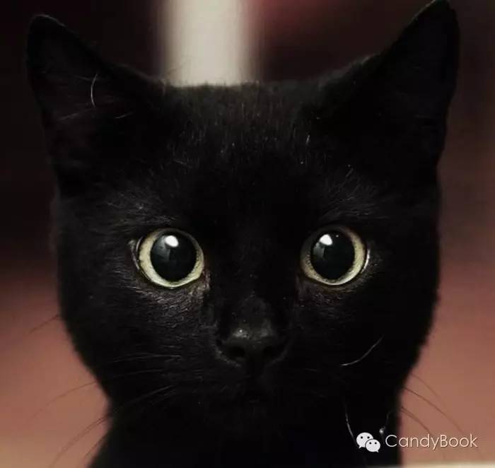 榛戝柕杩囩▼閲嶈杩樻槸缁撴灉閲嶈,榛戝柕浠ュ悗杩橀渶涓嶉渶瑕侀伩瀚屼簡