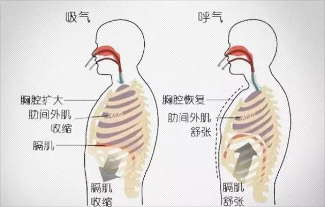 跑者,别让岔气毁了你的训练!