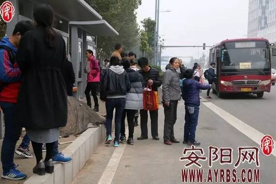 安阳市实行机动车单双号限行,安阳市2022年汽车单双号限行