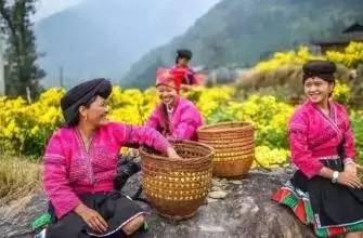 头条|再有人说广西没有秋天，就把这条微信甩给TA看！