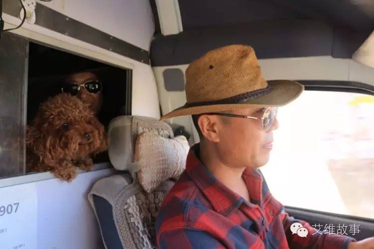 艾维wwoofer之：从艾维的世界路过