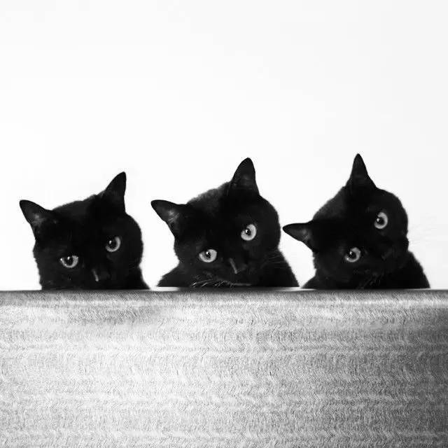 榛戝柕杩囩▼閲嶈杩樻槸缁撴灉閲嶈,榛戝柕浠ュ悗杩橀渶涓嶉渶瑕侀伩瀚屼簡