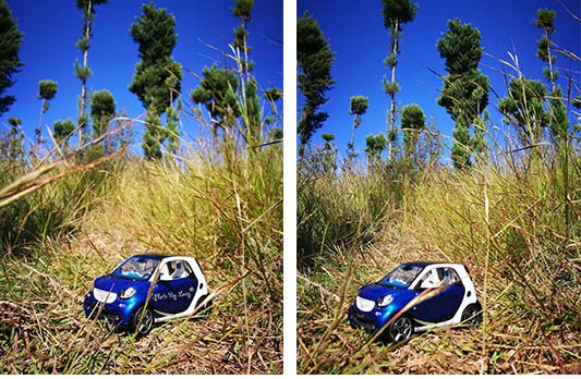 他们都以为我开smart去大理了...蓝鹅事实是...