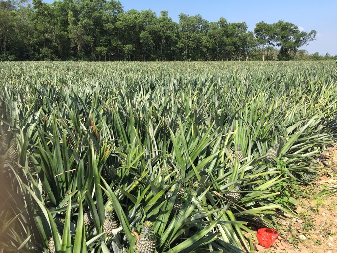 我的第一次出行视频,我的第一次不间断骑行100公里