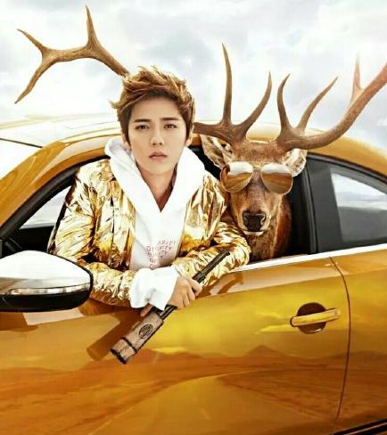 给我一个理由去追求,为什么都喜欢鹿晗