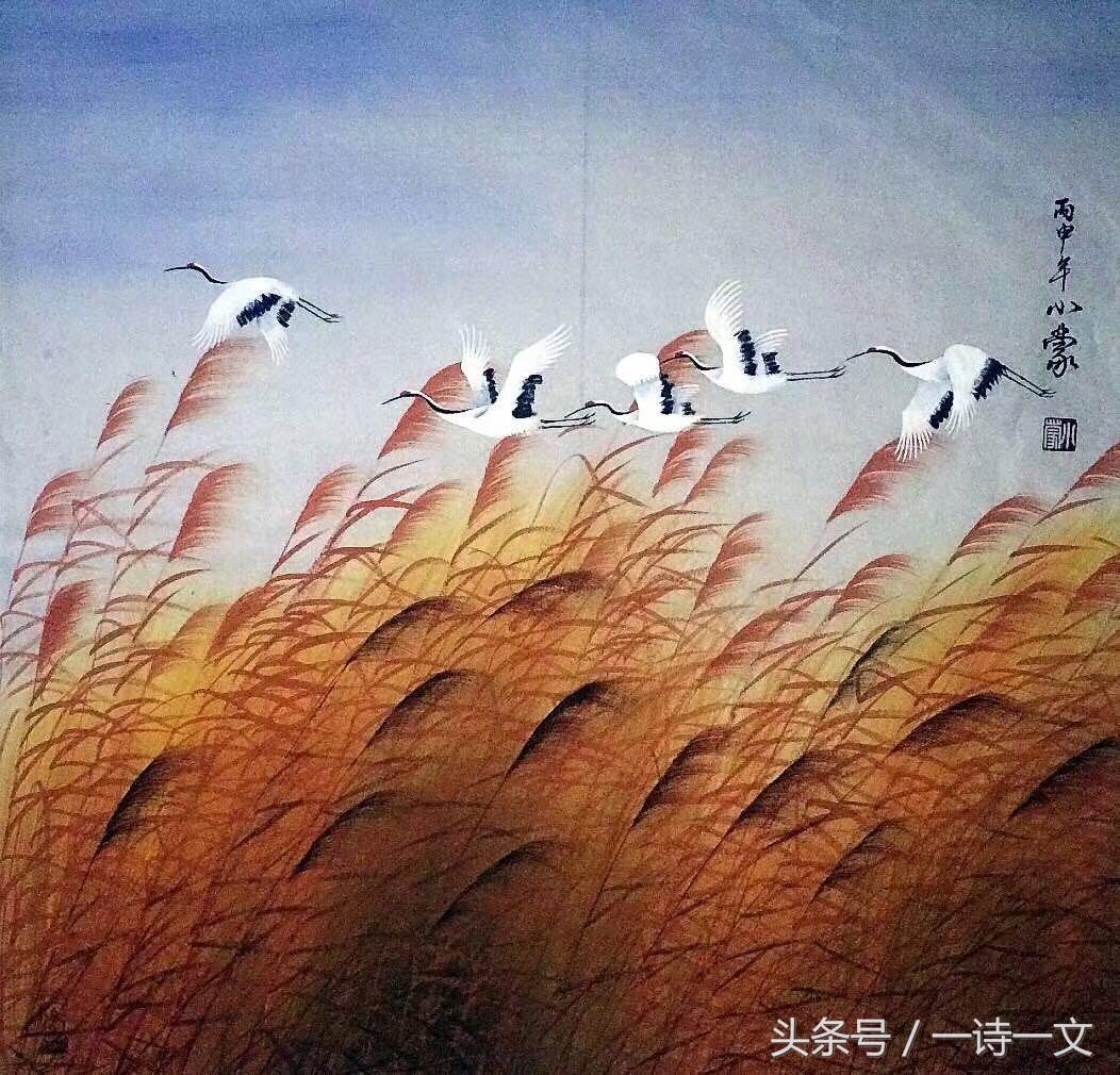 水木诗集|沧海桑田未能遇你我只能和寂寞热恋