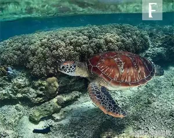 菲律宾小众海岛,菲律宾的海岛旅游