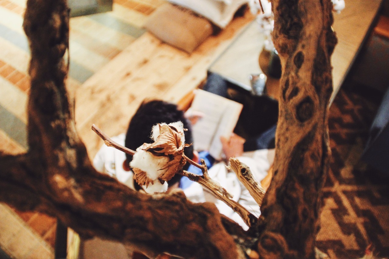 因为爱留在了成都，韩国首尔大叔的自述