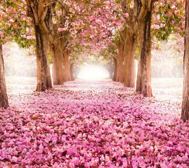 当你心烦了怎么办,当你心烦意乱的时候怎么办