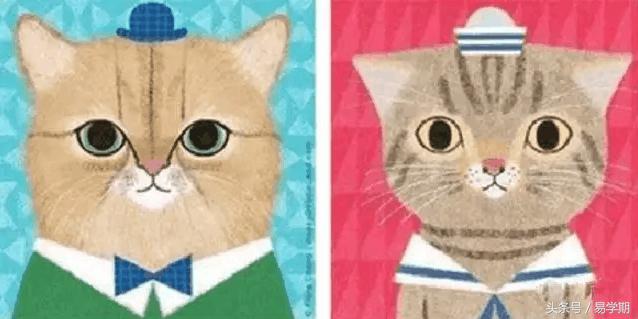 拍摄最美证件照的镜头,拍最美证件照选全画幅还是半画幅