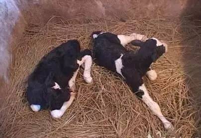 认识和识别质量问题,认识真假物品