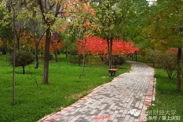 在兰财的一天vlog,在兰大秋天的感受