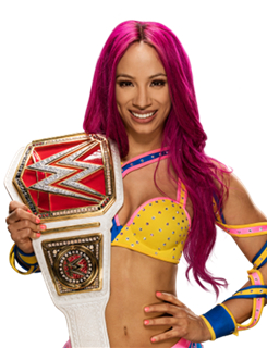 wwe十大女将秒杀巨人男选手,wwe女选手名单最新