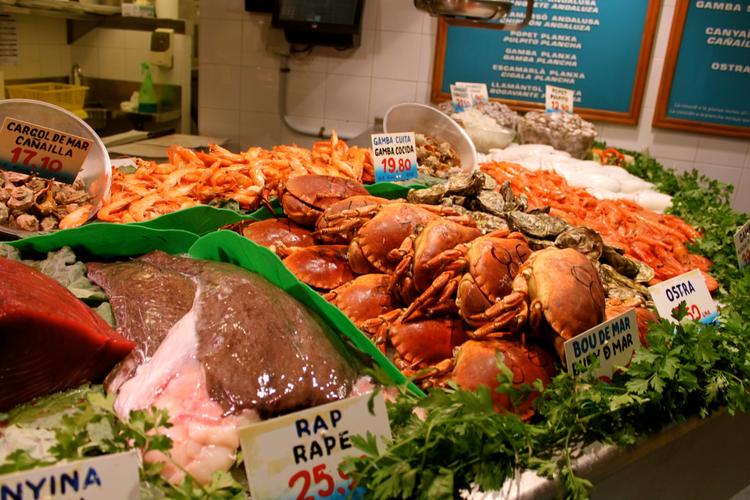 斑马旅游马尔代夫,斑马旅游景点在哪里