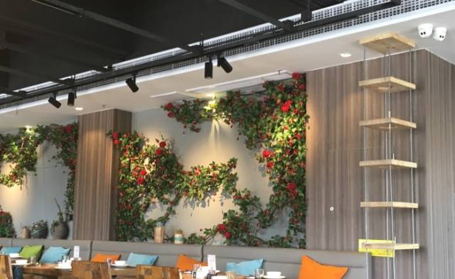 都是“厨房”先动的手，这是要搞事吗！？