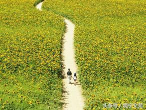 原来门罗煮得是一碗香浓的鸡汤，专治绝望。