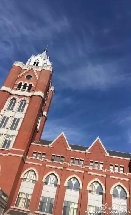 今天的蓝天已经被天津人玩坏,据说这都是它闹的