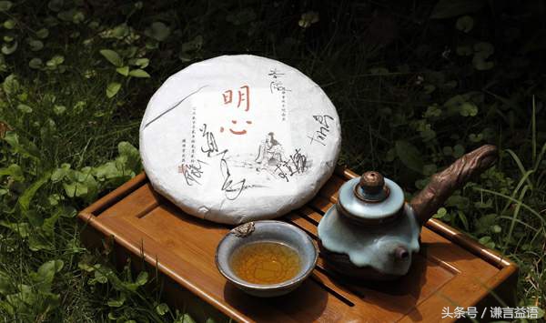 习茶日记普洱茶,习茶日记全部视频