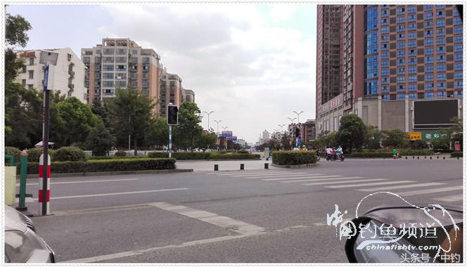 菜地钓鲫鱼绝密技巧,菜地钓白条视频大全