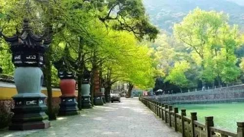 宁波国宝,宁波最好的文物