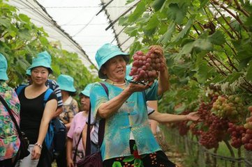 在专家不建议种红提的湖南，他赚了大钱