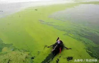 一个高尔夫球场要多少水养护,一个高尔夫球场要耗多少水