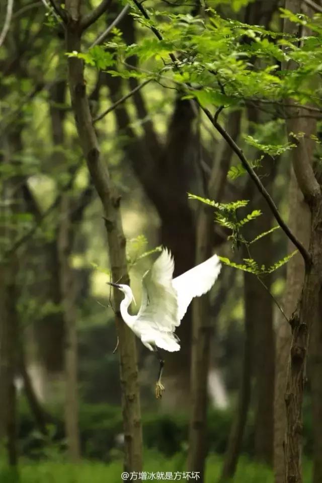 这个地方30年前真的很繁华,宁大回忆