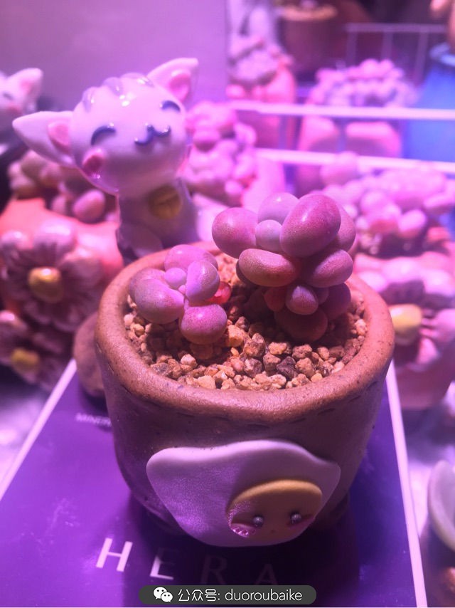 谈谈我的看法和感想,谈谈我对自己的看法