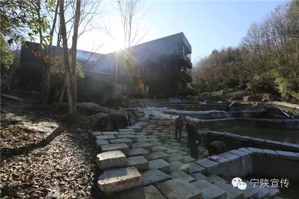 安康日报报刊,陕西安康日报