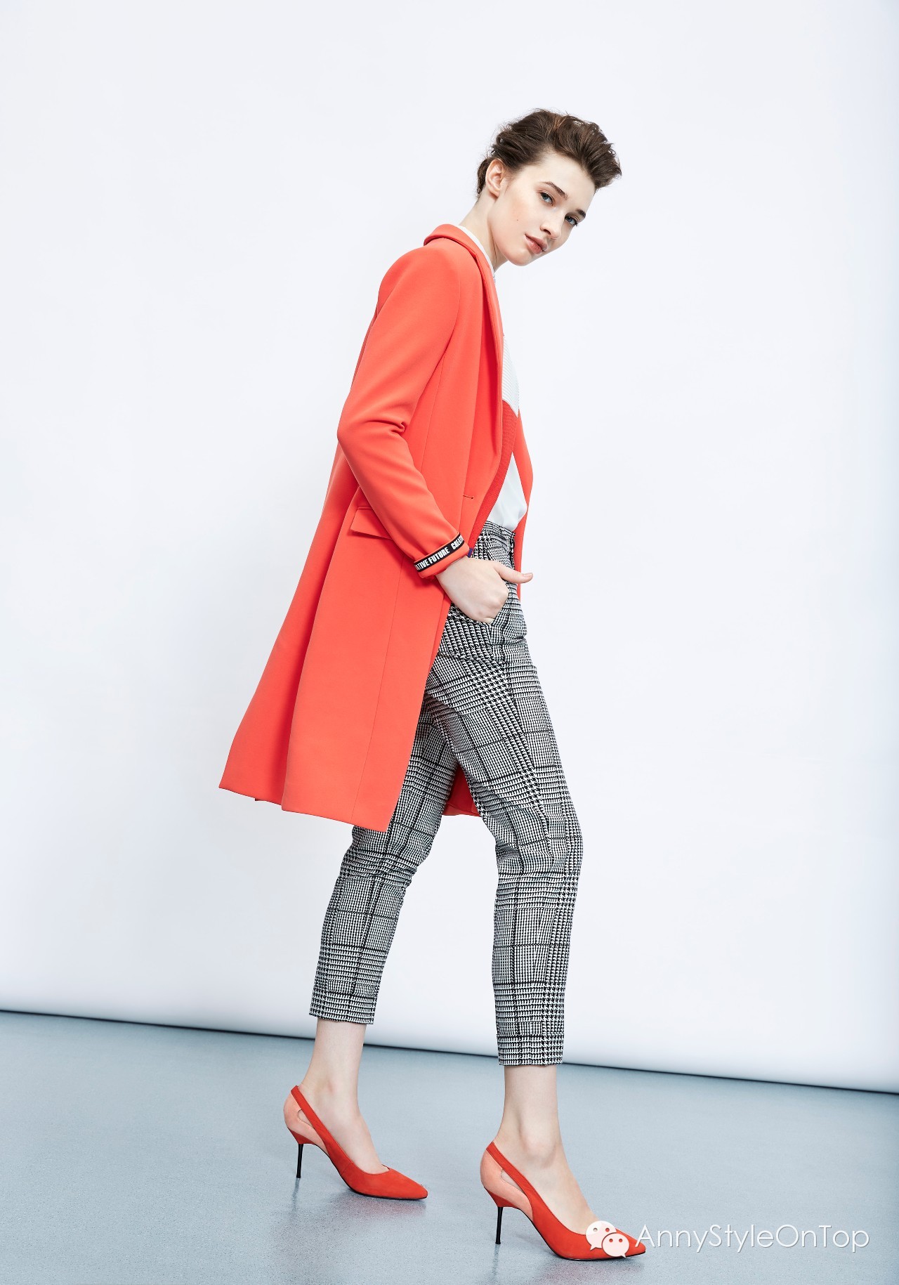 终极指南细说蚂蚁,2022年大趋势攻略