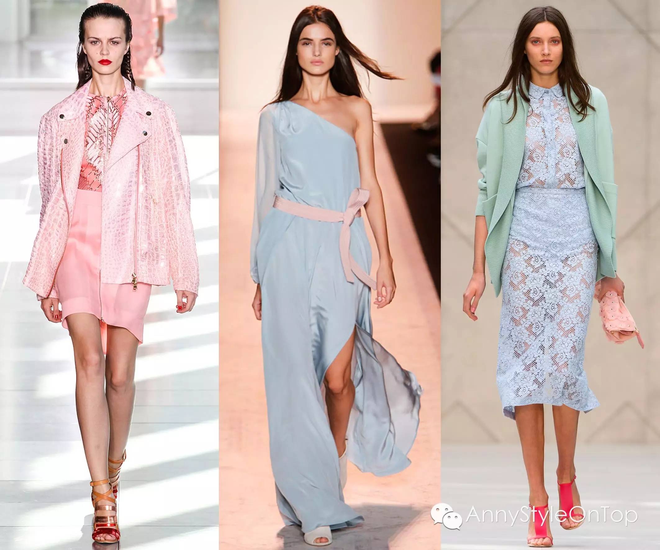 终极指南细说蚂蚁,2022年大趋势攻略