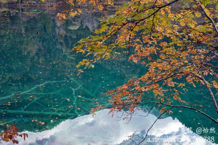 九寨沟让人失语的美丽童话世界,九寨沟有没有童话世界的景点