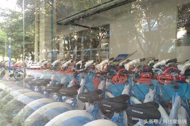 华为nova青春版关晓彤,华为nova12ultra与关晓彤