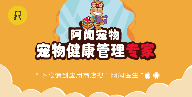狗狗太臭？这些方法帮你治一治