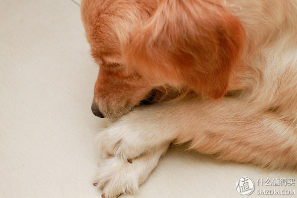 备孕婚前体验,备孕亲身经历和感受