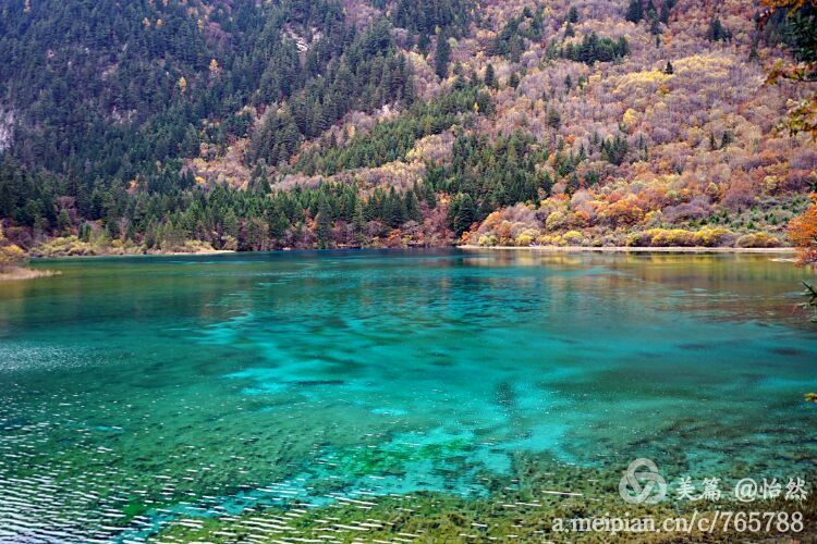 九寨沟让人失语的美丽童话世界,九寨沟有没有童话世界的景点
