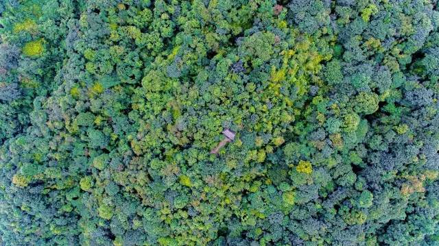 老峨山风景,从上帝视角看人的一生