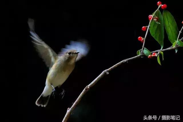 10月摄影笔记照片点评合集