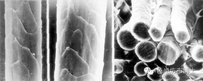 怎样判断面料是不是马海毛,马海毛是什么颜色的毛