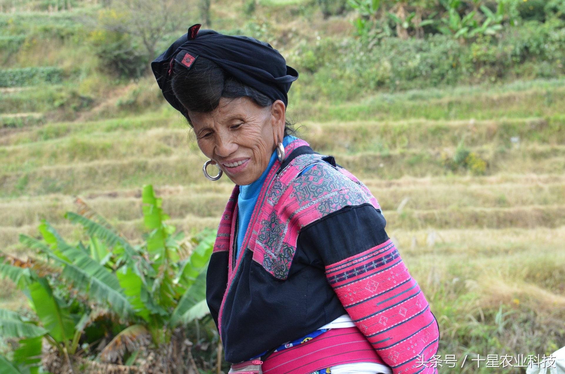 龙胜瑶族大寨龙脊梯田，原创拍摄几十图，有美女出镜哦！