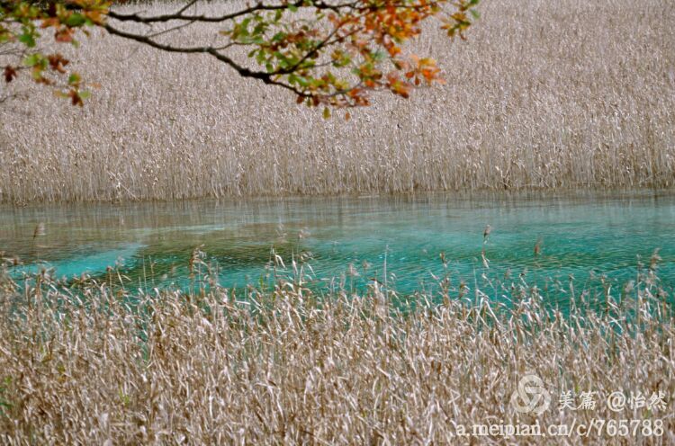 九寨沟让人失语的美丽童话世界,九寨沟有没有童话世界的景点