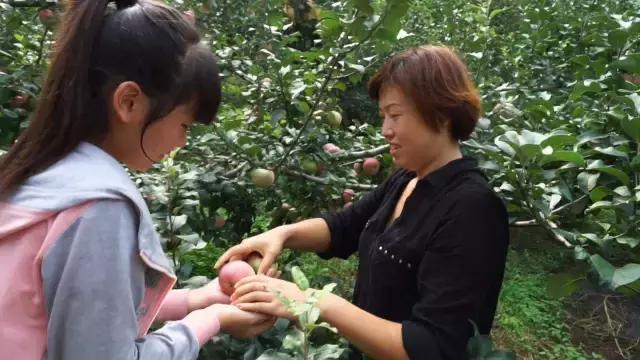 六十五年前那个给毛主席献花的小姑娘，为何在央视舞台上转身落泪