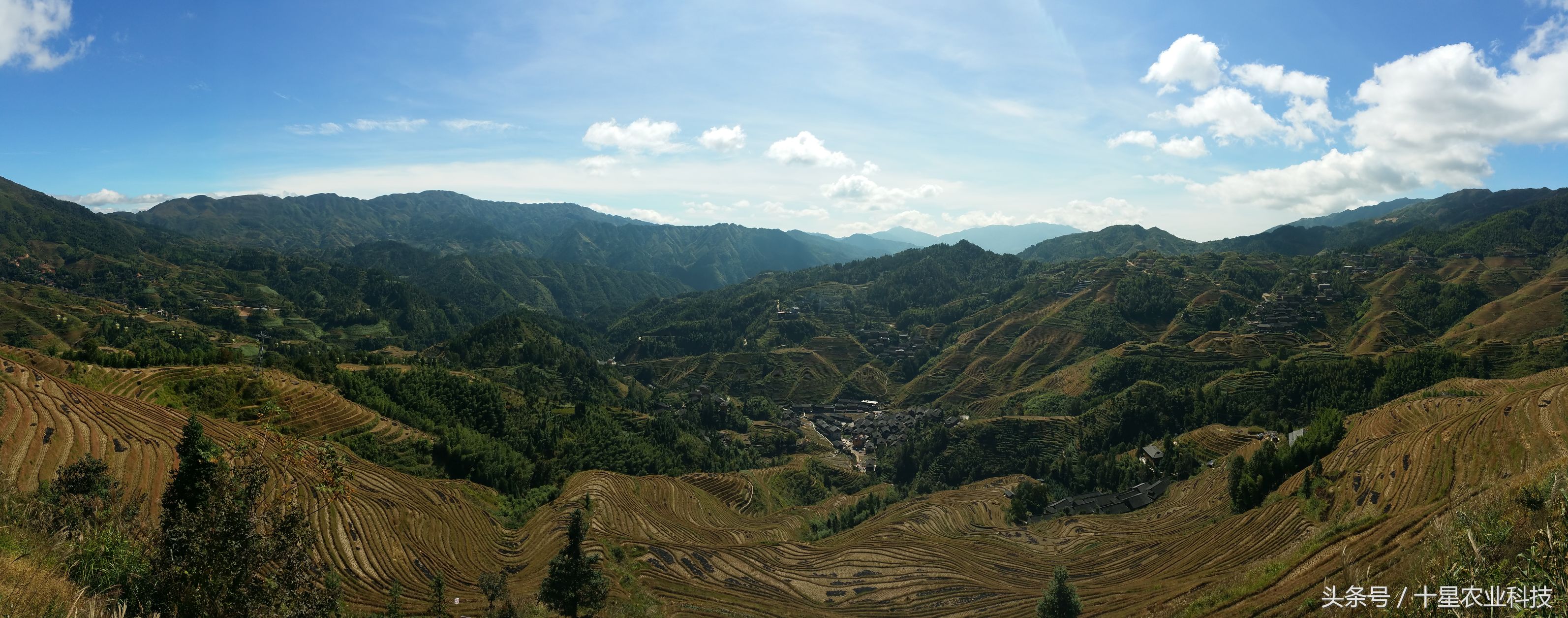 龙胜瑶族大寨龙脊梯田，原创拍摄几十图，有美女出镜哦！