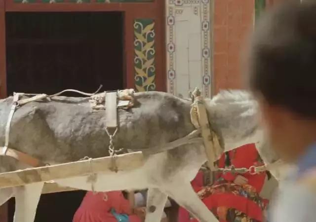 足球场上的体育精神,足球体育精神感人瞬间