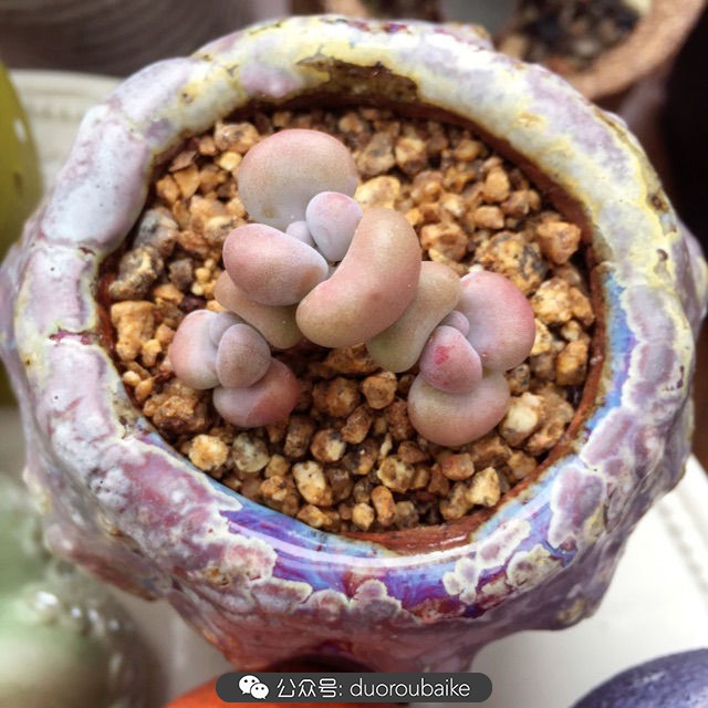 谈谈我对自己的看法,谈谈我对恋爱的看法